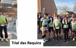 69790e996b868_TraildesRequins.png